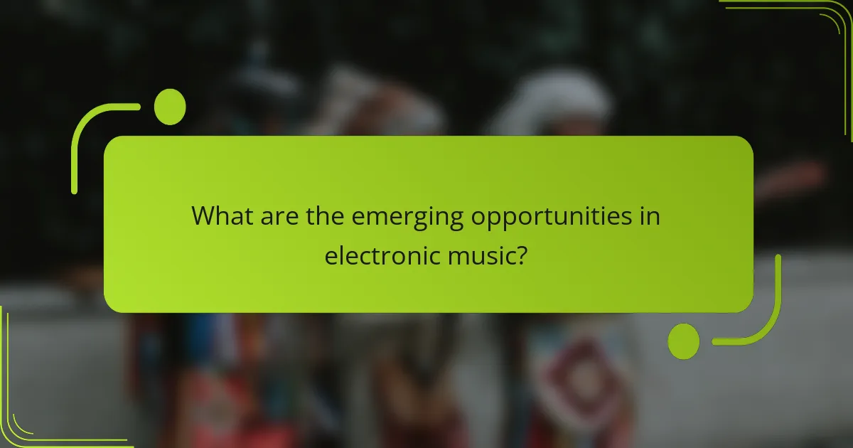 What are the emerging opportunities in electronic music?